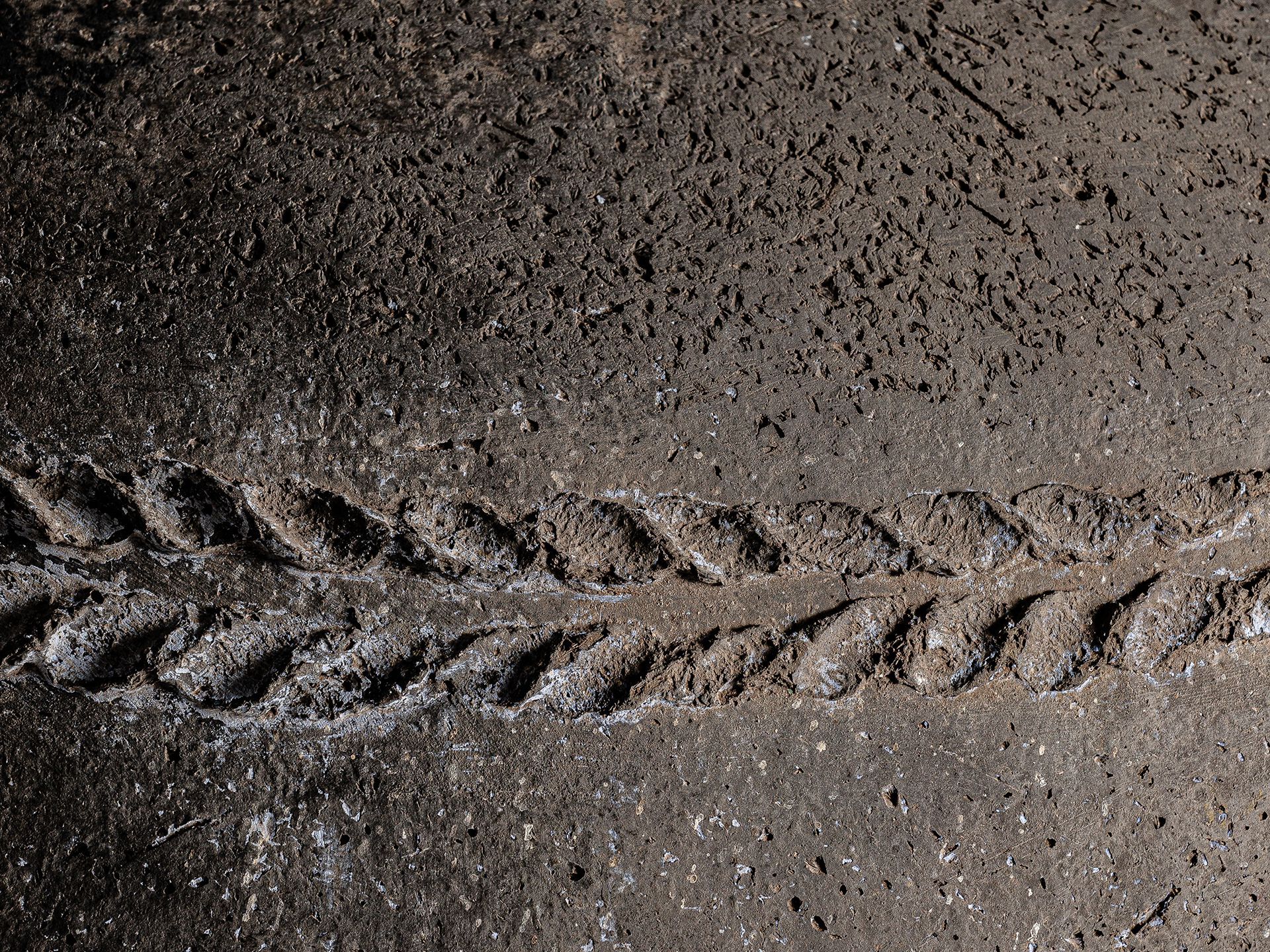 Круглый садовый горшок ручной работы из терракоты Vical Home MOYAUX ARCH-00051047 - Вид №2