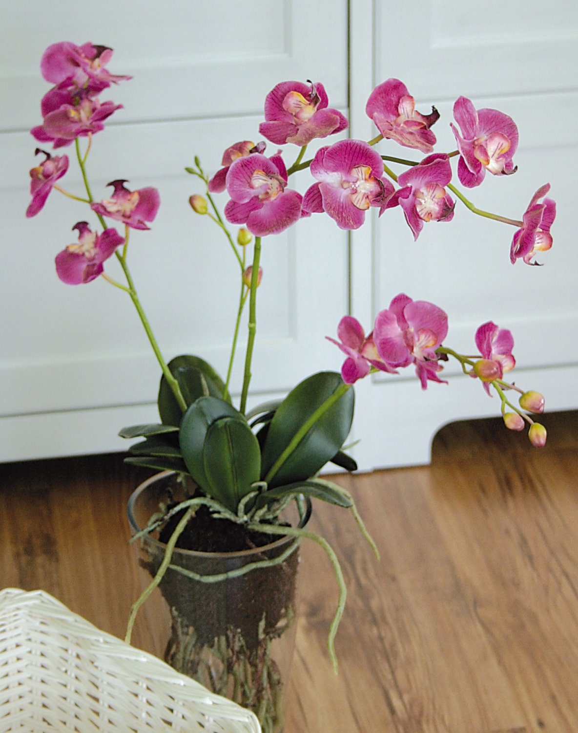 2579 515 a2 Пластиковая орхидея Phalaenopsis, ваза с водой, 80 см, real touch, розовая H-andreas  - Вид №1