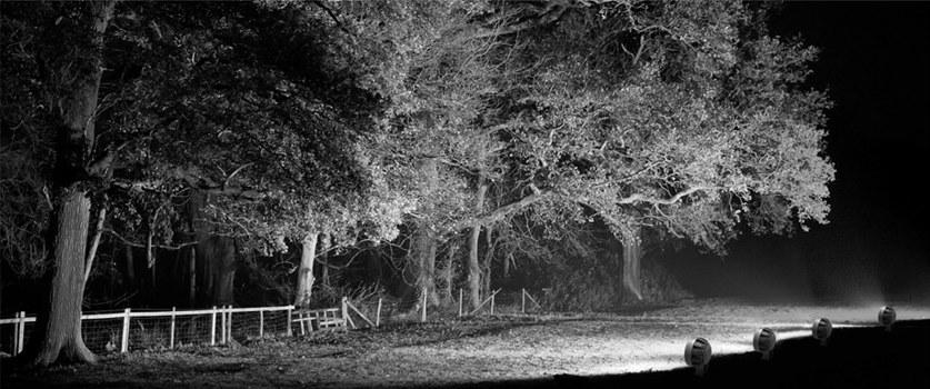 NEXO LUCE Регулируемый светодиодный проектор для улицы Projector nexo luce 2615 - Вид №1