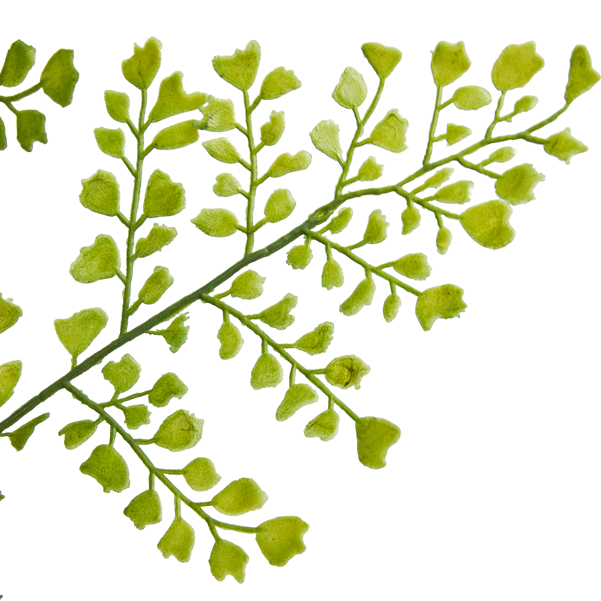 87681882 Искусственное растение Папоротник в 48x13 см пластик STLM-0074892 Santreyd  - Вид №2