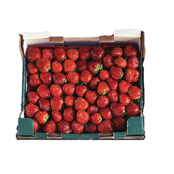 Клубника Голландия в ящике ~4 кг Santreyd 28404