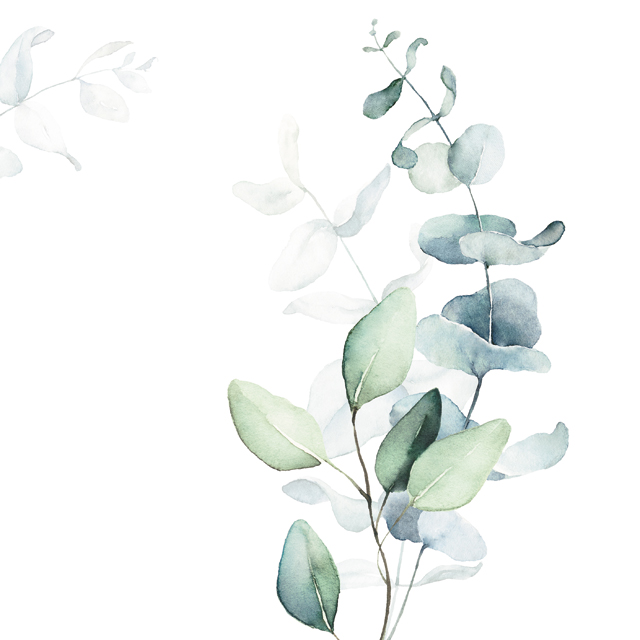 Стеновые панели - Мадлен LIGRON LIST89 2310