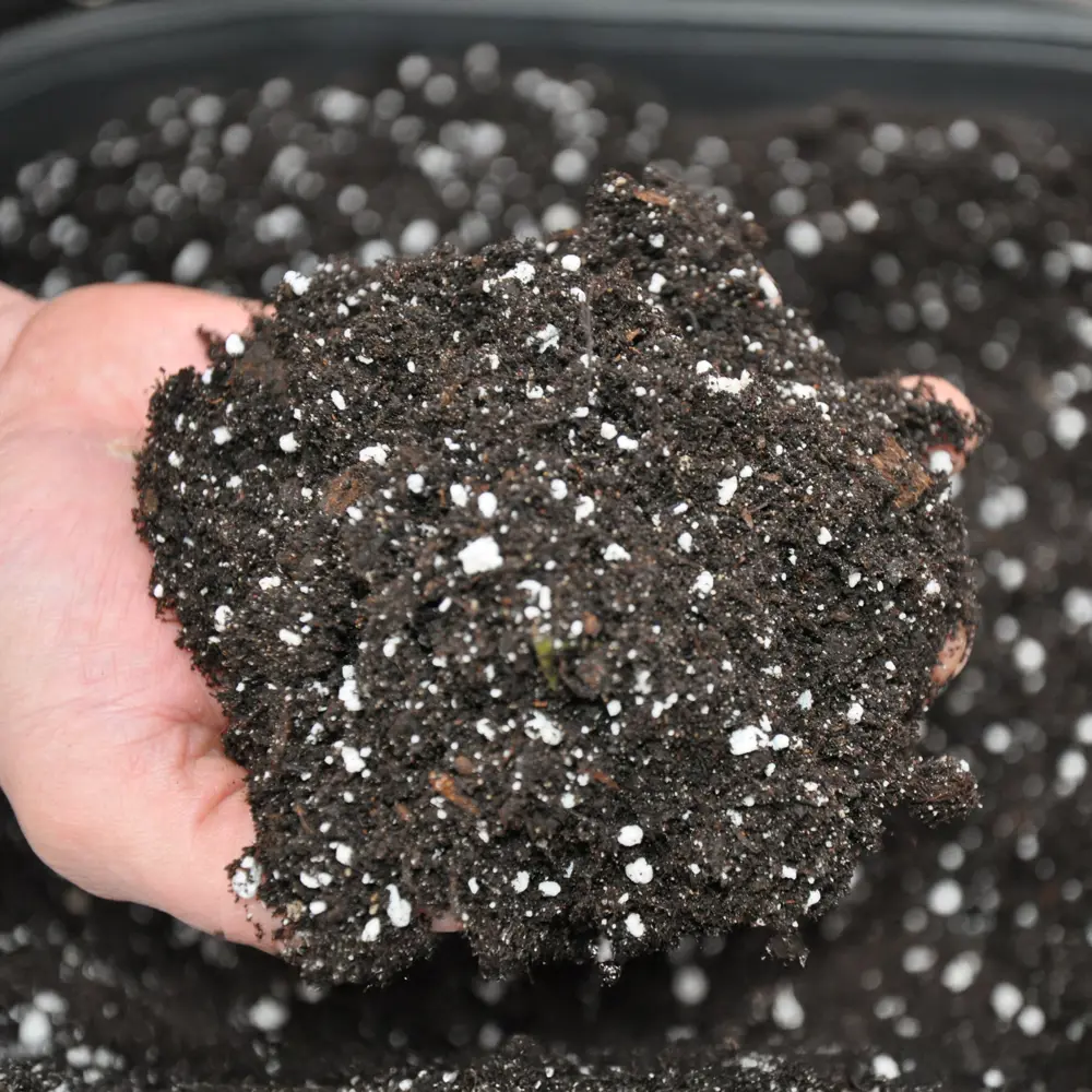 Грунт BEGINIA для фикуса и пальм 5 л STLM-2127640 - Вид №2