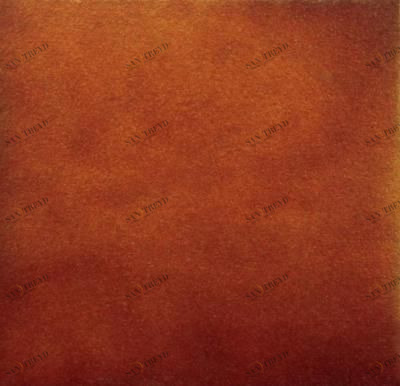 Rodamanto Клинкер  31х31 Gresmanc sun-id-318598