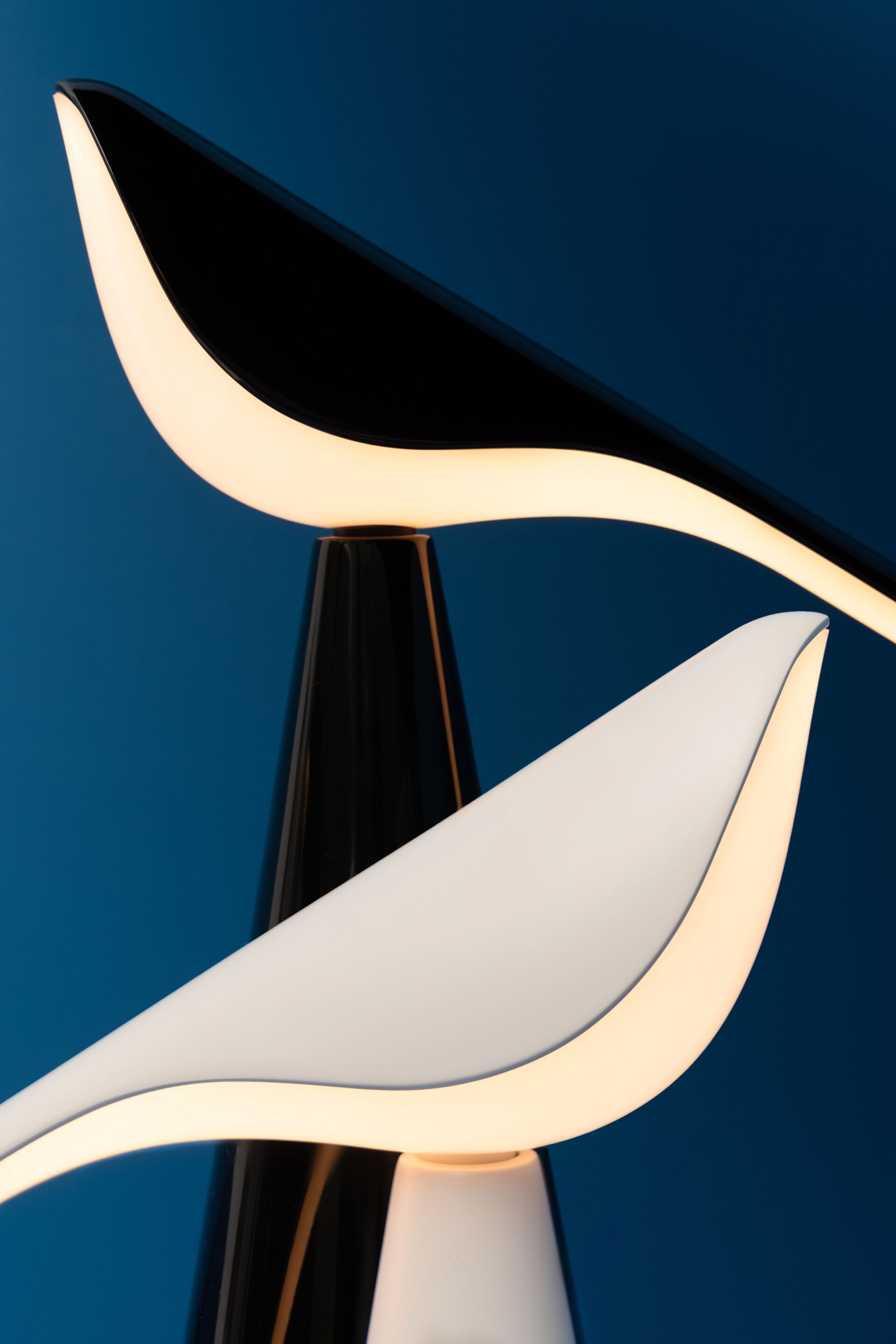 Алюминиевая светодиодная настольная лампа Established&Sons TIKI ARCH-00145932 - Вид №66