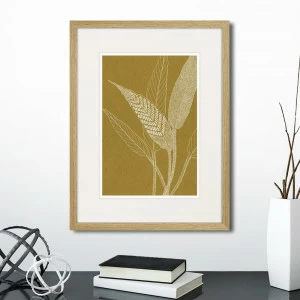 Картина 42х32 см The Fern Collection №40 КАРТИНЫ В КВАРТИРУ  00-3894680 Коричневый