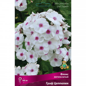 88294963 Флокс метельчатый Граф цеппелин луковица I