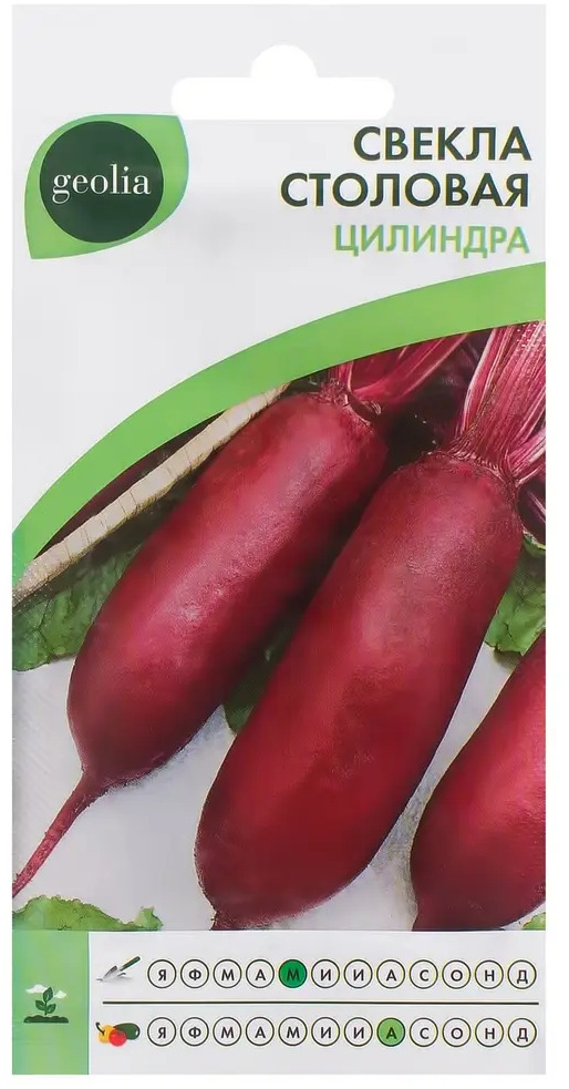Семена свеклы GEOLIA «Цилиндра» — сладкие корнеплоды для кулинарии 17584989
