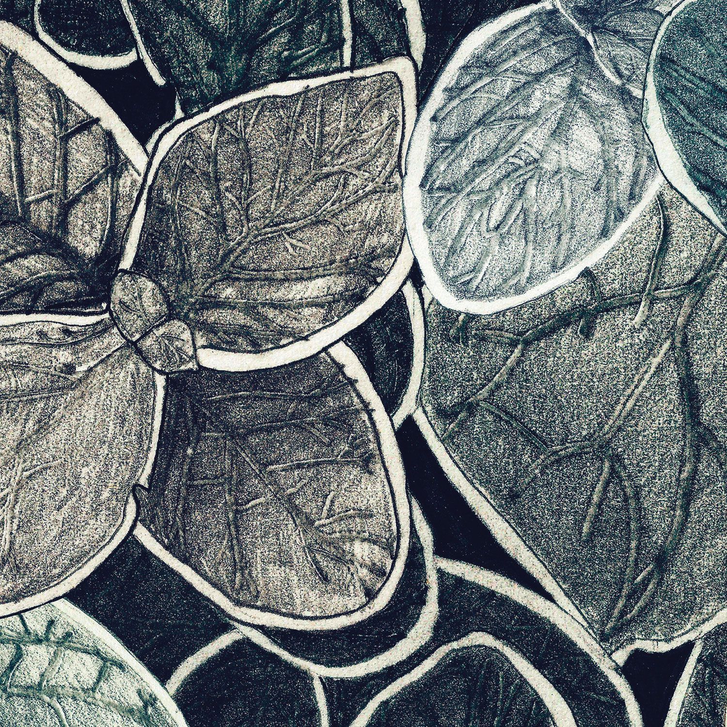 Обои с рисунком Ressource Faune &amp ARCH-00031135 - Вид №15