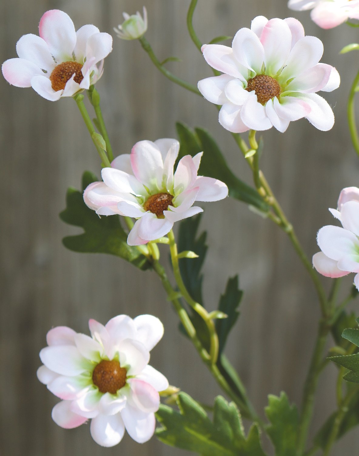 3227 510 a3 Ветка маргаритки искусственный бычий глаз, 74 см, розовая H-andreas  - Вид №1