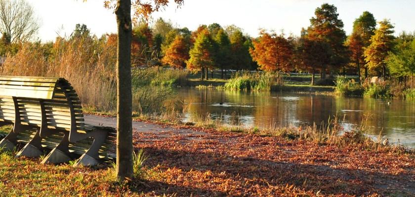 Изогнутая деревянная скамья в современном стиле Santreyd sun-id-1498162 - Вид №2