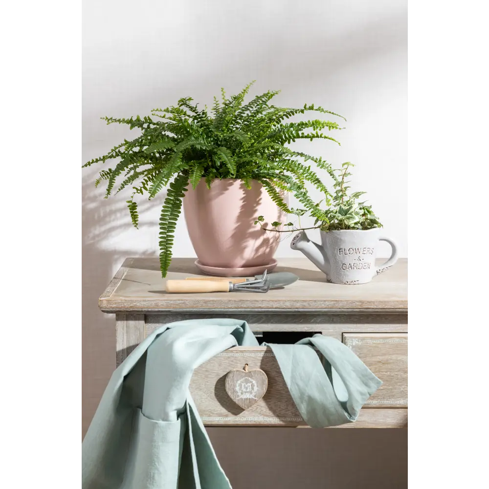 Santreyd Нефролепис Грин Леди — пышный папоротник для дома 13534108 STLM-0003273 - Вид №5