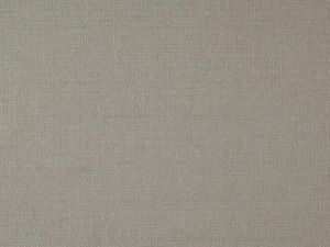 FR-One Однотонная полиэфирная ткань Genial