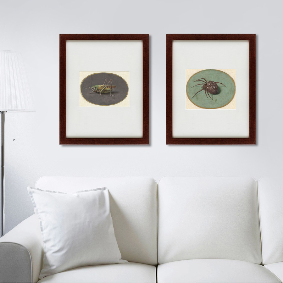 Картина паук: Spider, 1690 КАРТИНЫ В КВАРТИРУ  135747 Коричневый;серый  - Вид №2