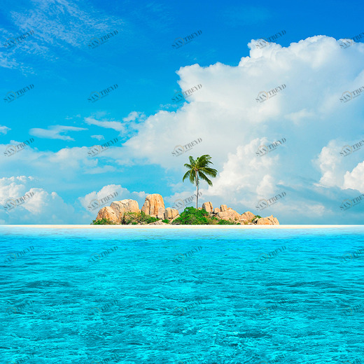 D1-100 Фотообои DIVINO Collection D 2.7х м D1100