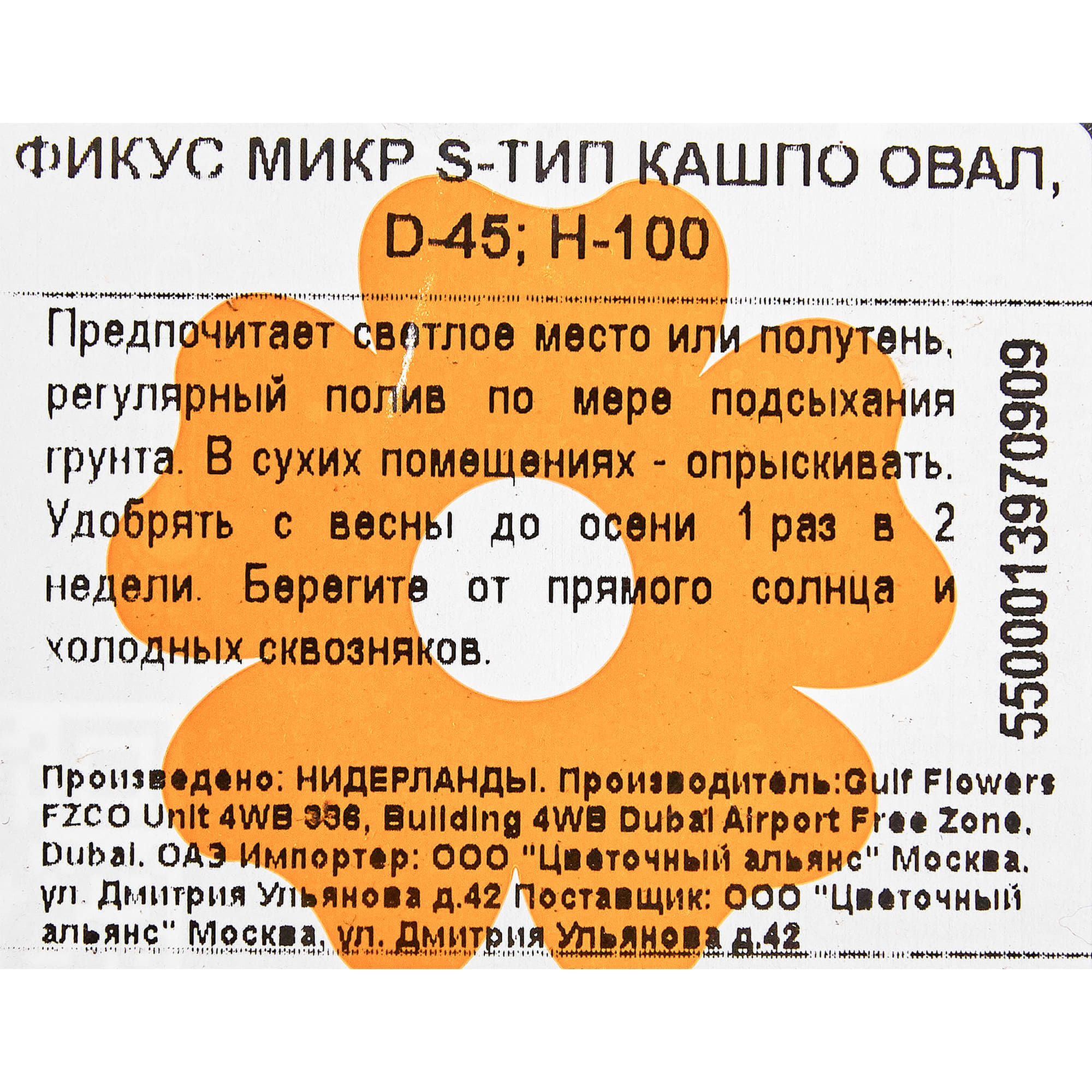 82849688 Фикус "S-type" в кашпо 45х100 см Santreyd  - Вид №2