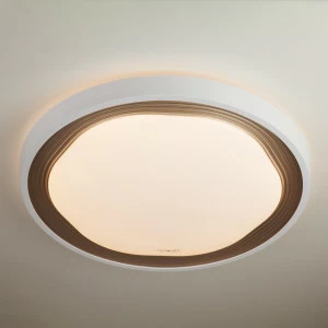 Потолочный светодиодный светильник Eurosvet Range 40006/1 LED кофе EUROSVET RANGE 202706 Белый;коричневый