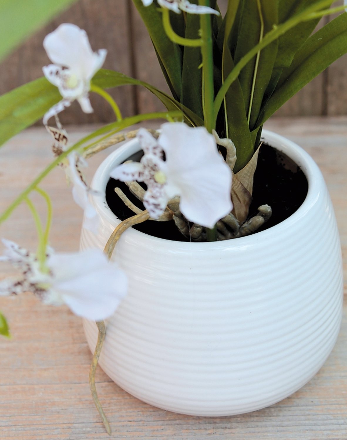 2516 778 a3 Синтетическая орхидея онцидиум, горшечная, 50 см, бежево-белая H-andreas  - Вид №5