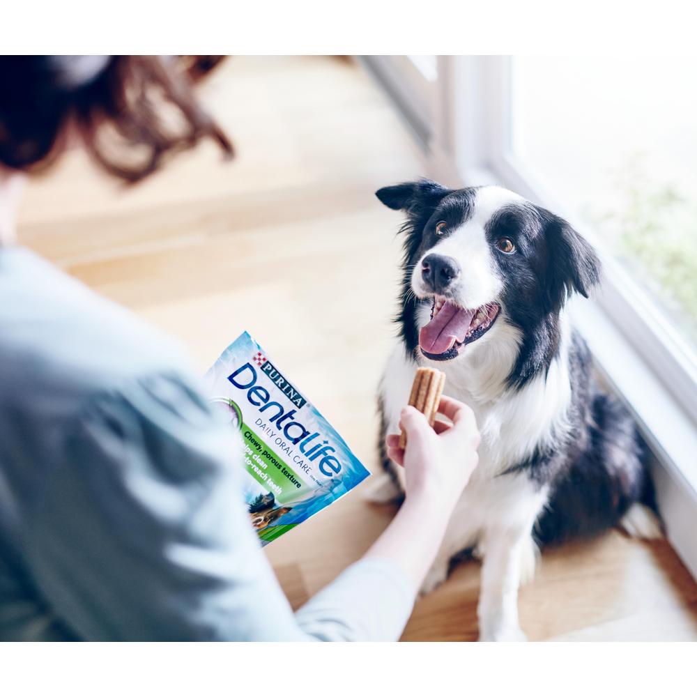 ПР0046433 Лакомства для собак Large 142г DentaLife  - Вид №7