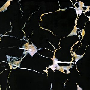 Панель PVC Stella Marble Light Фрейя М-007 2800*1160*1мм STSR-348