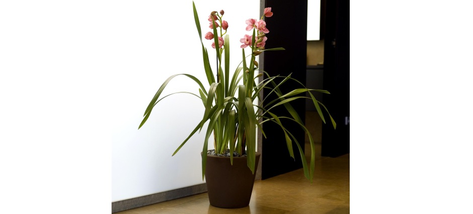 002199 Кашпо Cono Vondom Pots Studio Vondom  - Вид №4