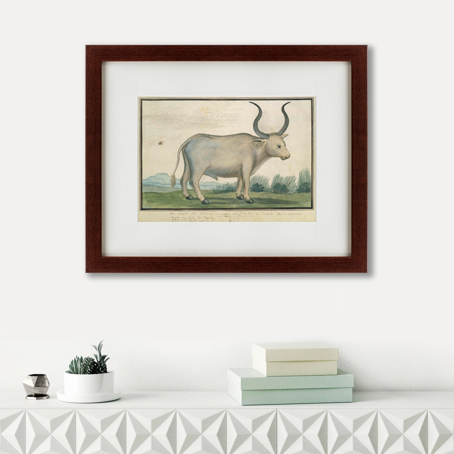 Картина: Cape Ox, 1778 КАРТИНЫ В КВАРТИРУ  135680 Разноцветный  - Вид №1