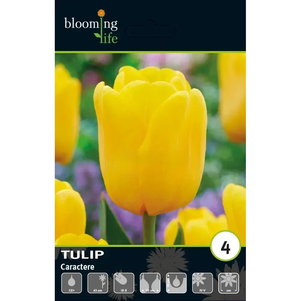 Луковицы тюльпана Триумф Карактер 12 шт - многолетние цветущие растения 89433022 Santreyd STLM-1582531