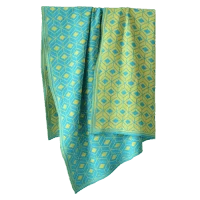 Плед NOEMIE B&Y APERO ДИЗАЙНЕРСКИЕ, ОРНАМЕНТ 010375 Голубой;зеленый