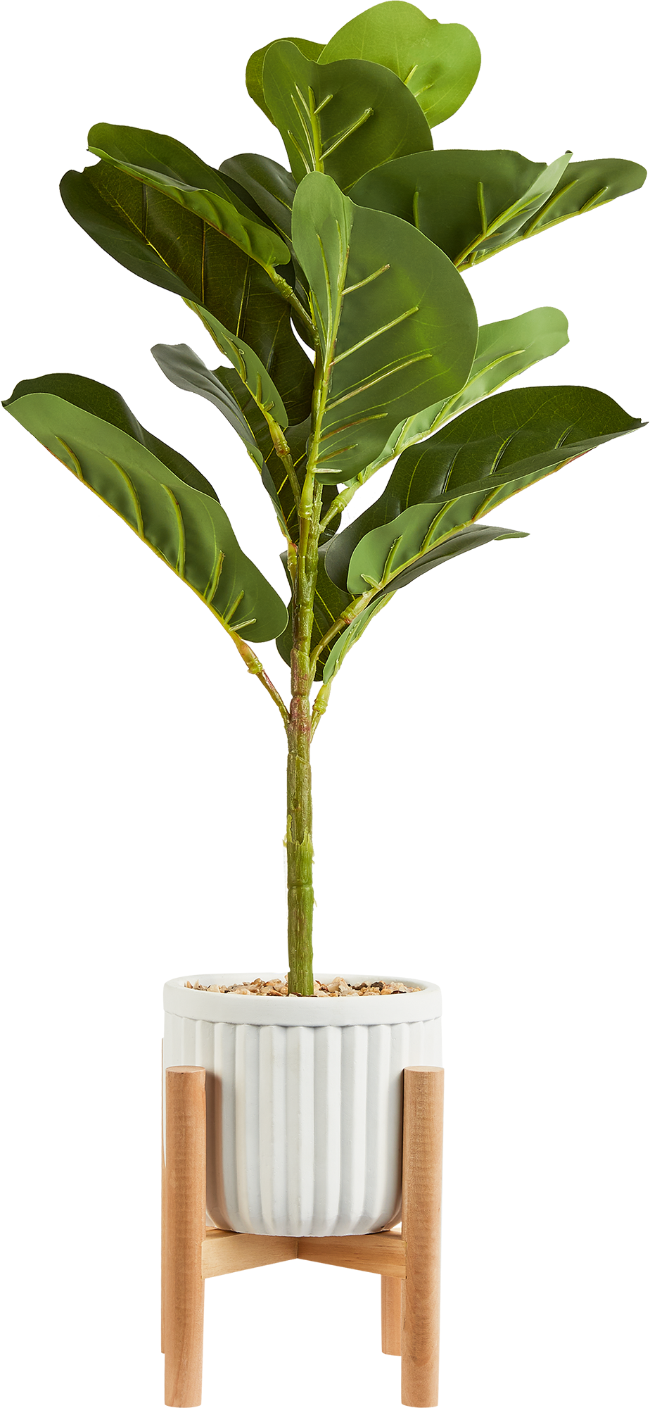 87681880 Искусственное растение Фикус 70x14.5 см пластик STLM-0074890 Santreyd  - Вид №2
