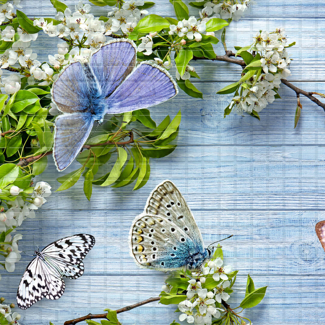 Панель ПВХ 0,3 мозаика «Баттерфляй» STELLA STSR-751