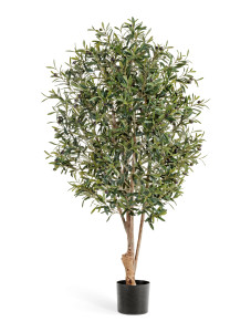 10.28206N Олива Твист с плодами Цветочная коллекция