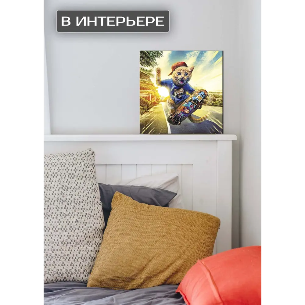 Картина на холсте Кот на скейте 30x30 см FBRUSH STLM-2170859 - Вид №2