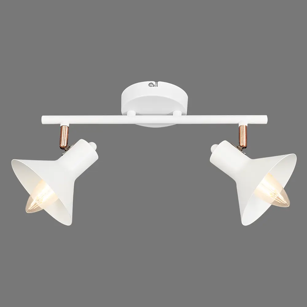 Спот поворотный Crater L1166-2, 2 лампы, 6 м², цвет белый LAMPLANDIA STLM-2144210 - Вид №2