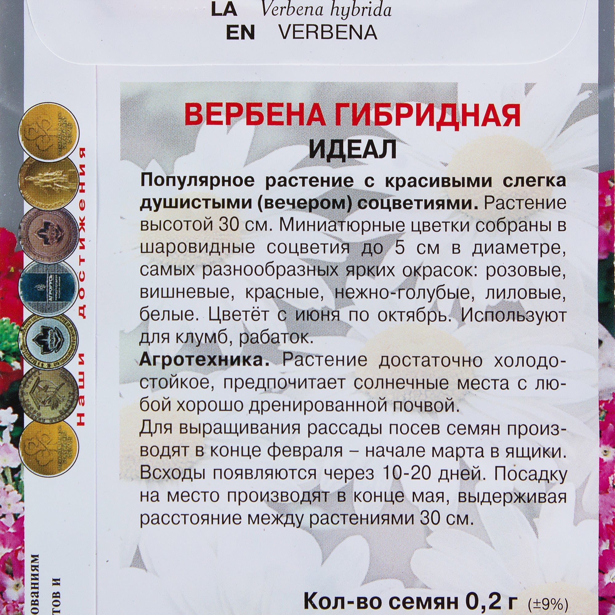 17229565 Вербена гибридная «Идеал» Santreyd  - Вид №2