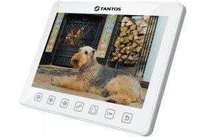 15536705 Монитор видеодомофона Tango+ White Tantos