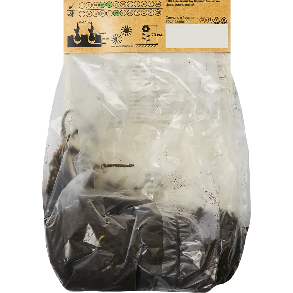 Ирис Geolia сибирский Хау Одейшс STLM-2167230 - Вид №1