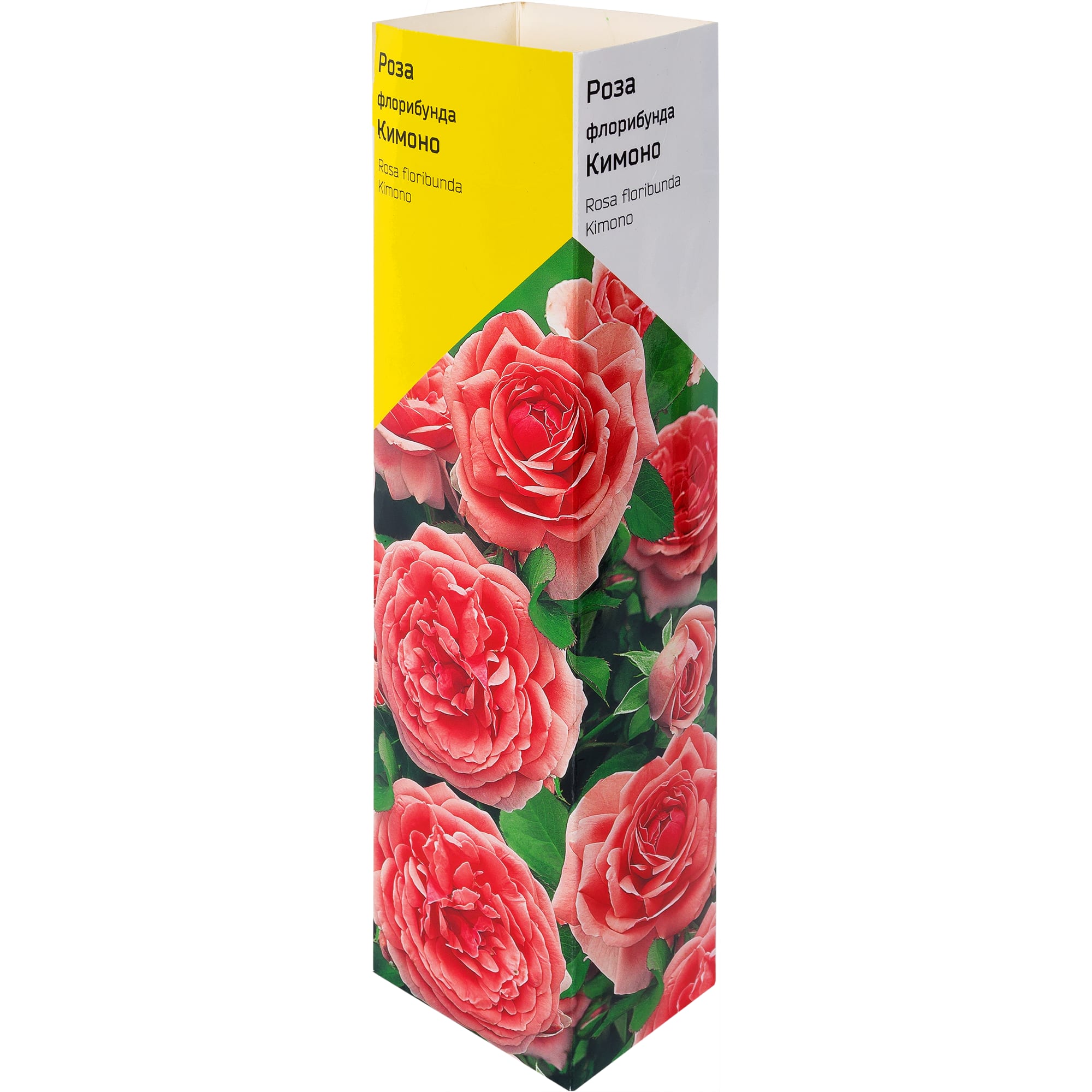 82142841 Роза флорибунда «Кимоно» в тубе Santreyd 