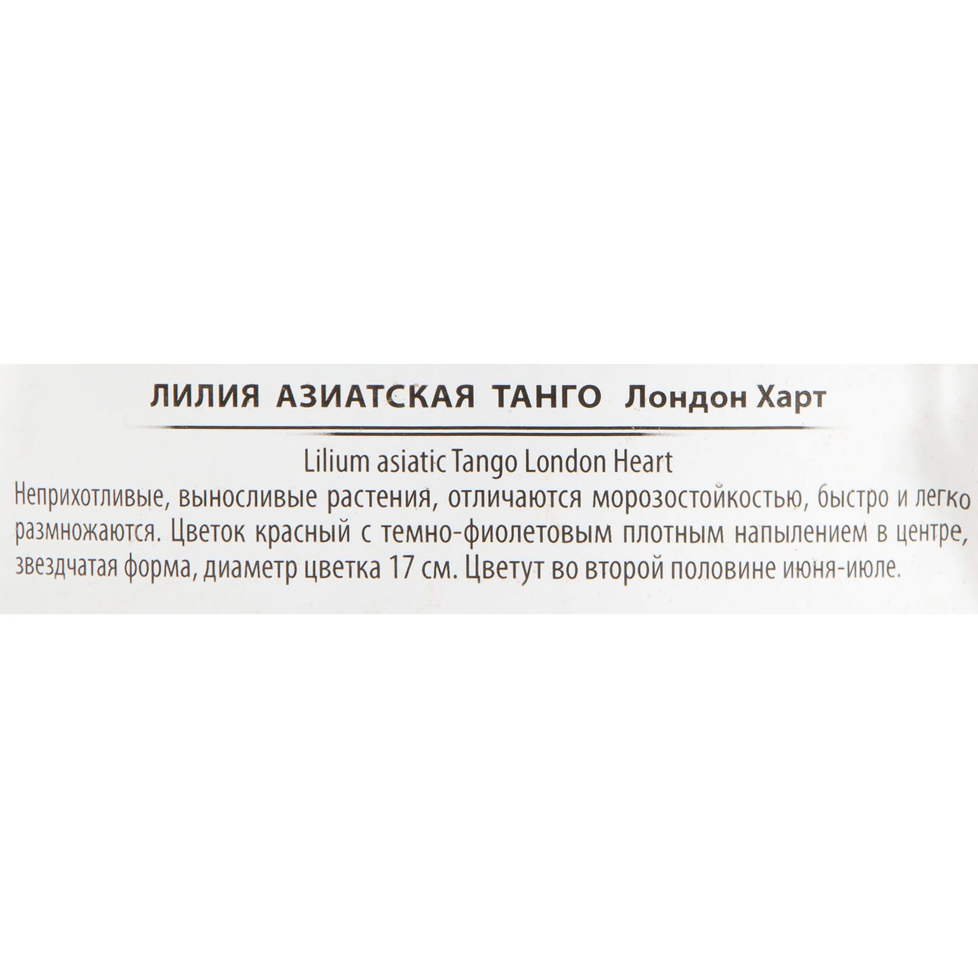 17897651 Лилия в сортах (V1.5л) Santreyd  - Вид №1