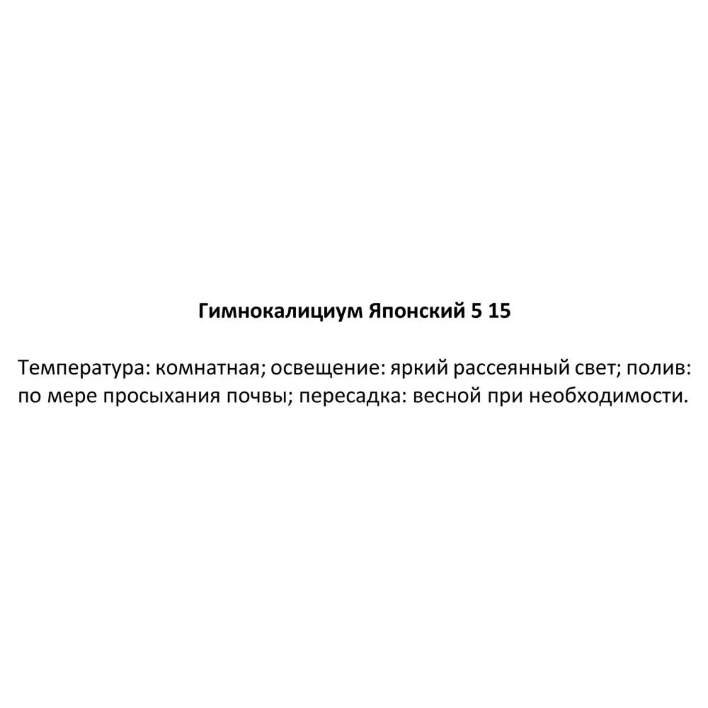 Santreyd Гимнокалициум Японский — кактус с роскошным цветением 85325010 STLM-0061560 - Вид №3