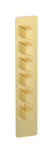 External part of thermostatic 5 ways, square plate, vertical, soft handle WE ARE IB eua516isneo_1 Brushed Pale Gold Aqua