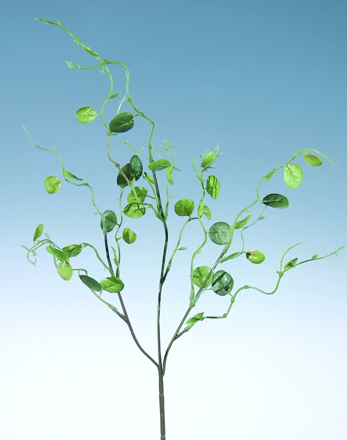 6998 883 a2 Ветка очитка искусственная, 35 см, зеленая H-andreas  - Вид №3