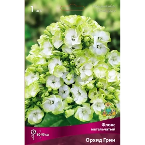 Флокс метельчатый Орхид Грин 89452334 STLM-2201867