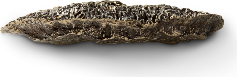 EA1034 Fungi PULLCAST Earth Collection  - Вид №1