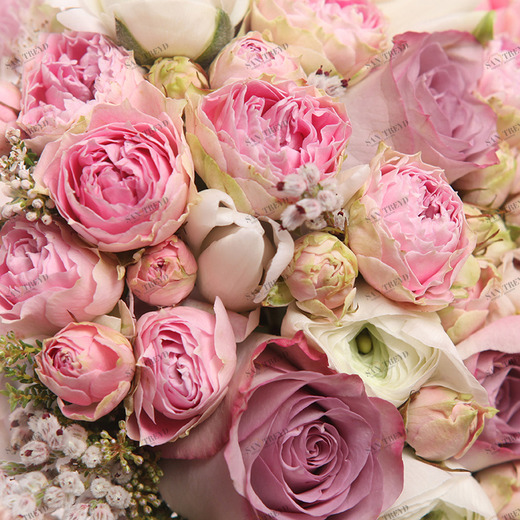 C1-145 Фотообои DIVINO Collection C 2.7х3 м C1145