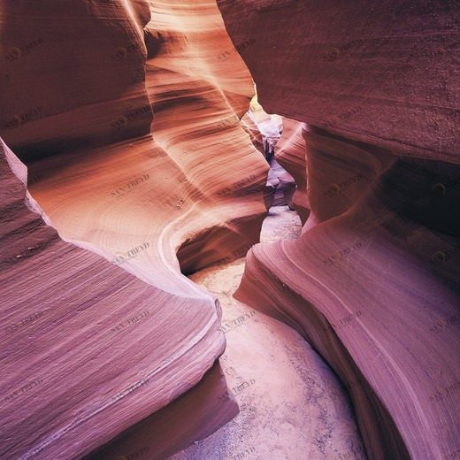 SH020-VD2-Lost-in-Color Фотообои Komar Stefan Hefele 2.5х2 м SH020VD2LOSTINCOLOR