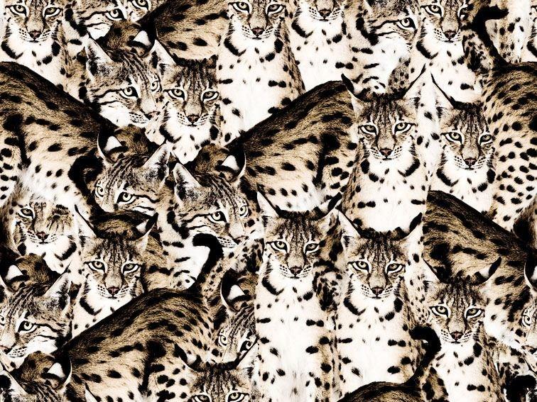 Wall&decò Обои с животными Contemporary wallpaper 2010 sun-id-1446065 - Вид №3