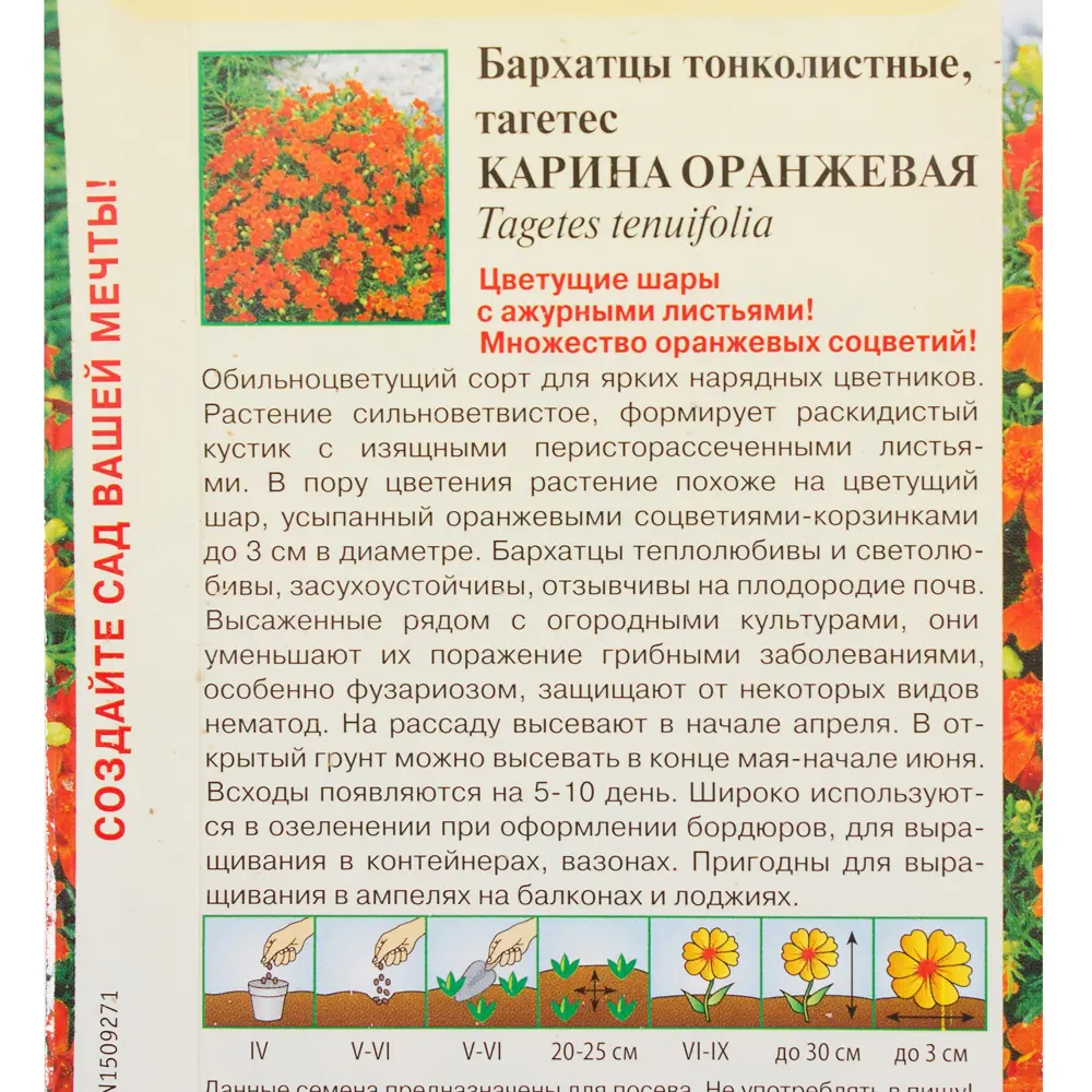 Бархатцы тонколистные «Карина» 0.05 г, цвет оранжевый 81933409 STLM-2202744 ГАВРИШ  - Вид №2