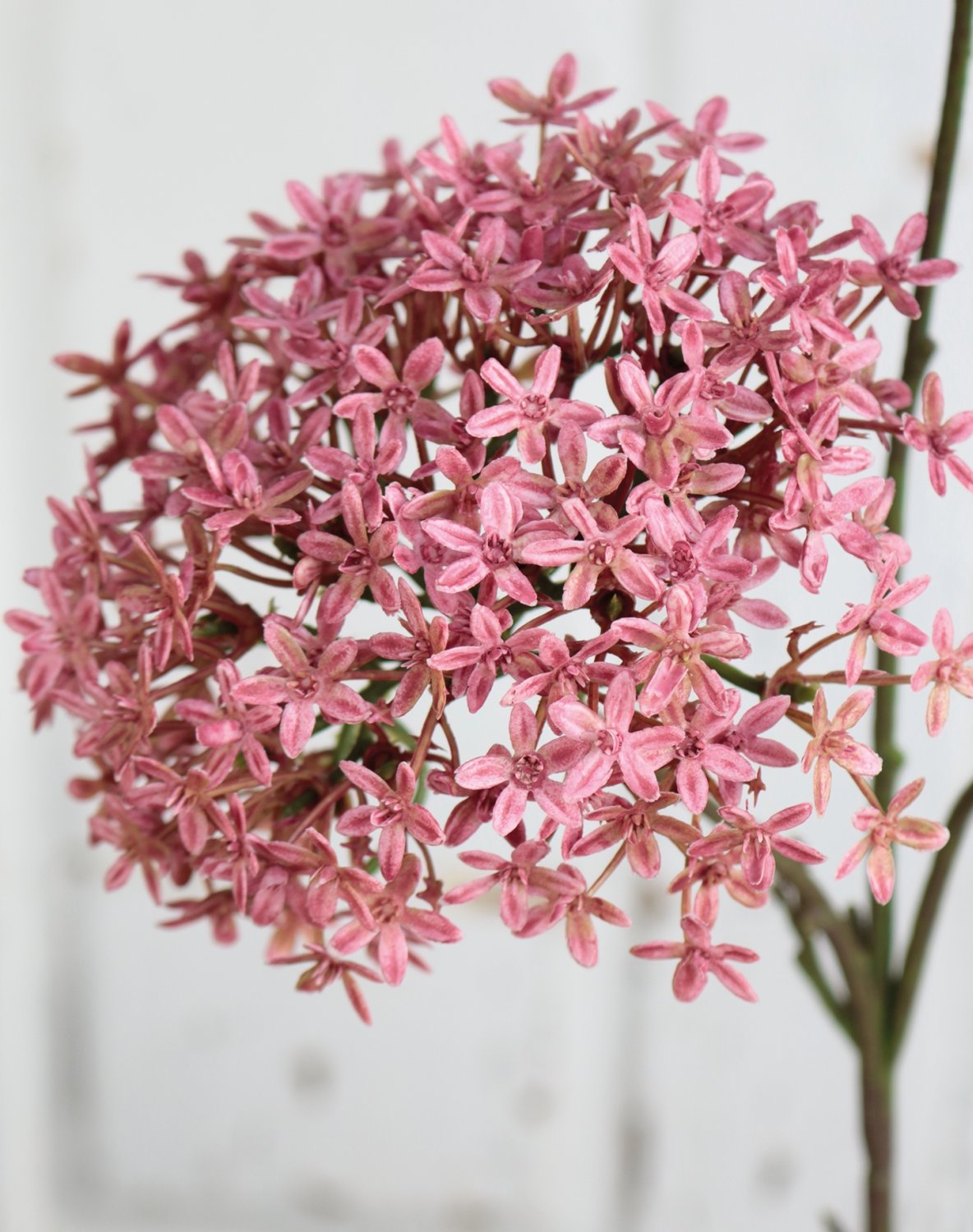 3304 515 a3 Искусственная корона, 3 цветка, 76 см, розовая H-andreas  - Вид №2