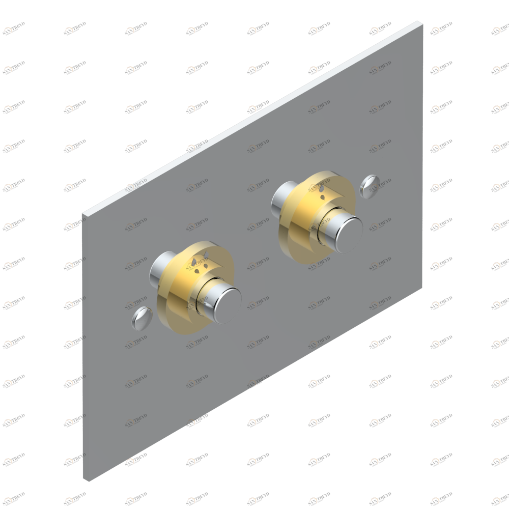G00-219T WC Flush Plate compatible with TECE frame Thg-paris прочие артикулы THG Хром/золото G00-219T CAT.A
