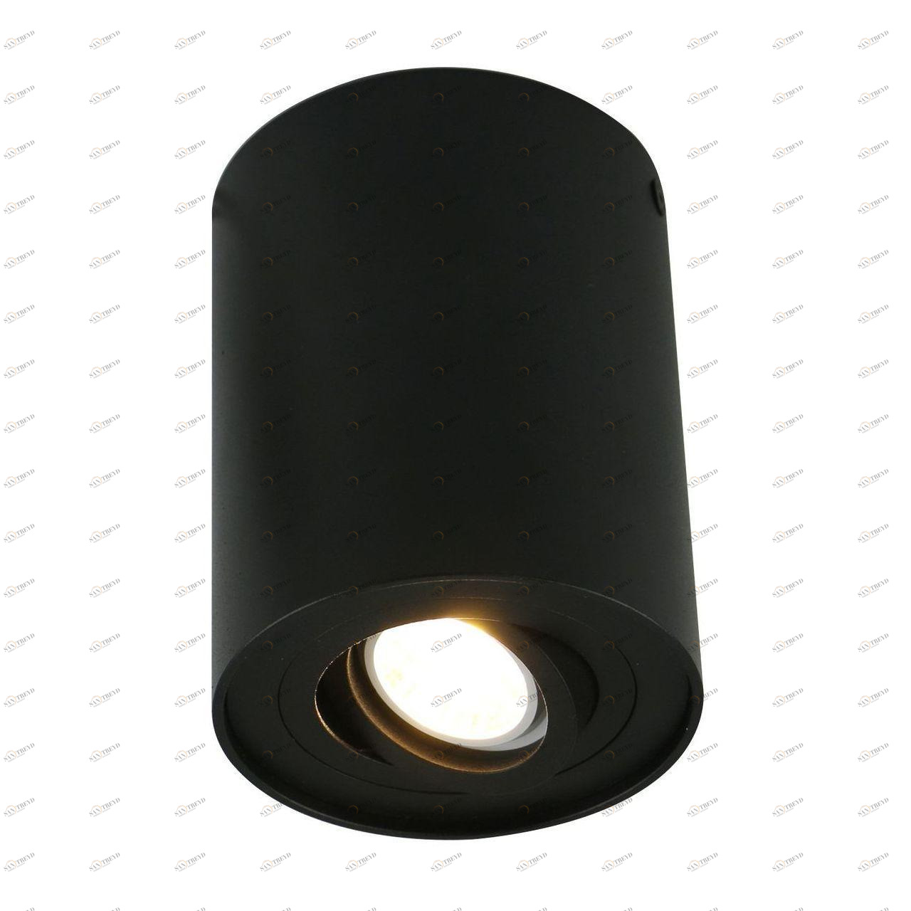 Потолочный светильник Arte Lamp A5644PL-1BK ARTE LAMP 5644 201303 Черный 